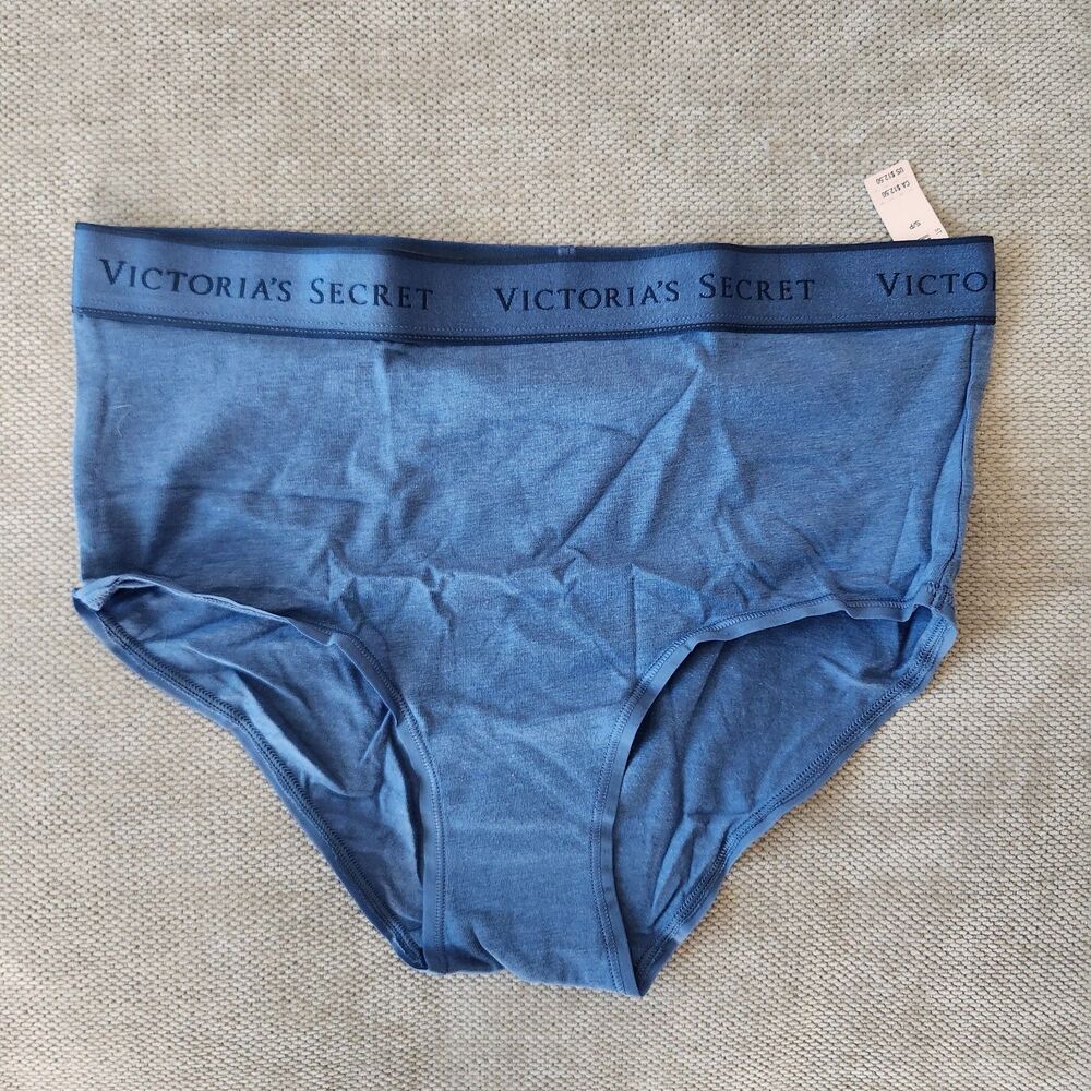 Victoria's Secret PINK Small Blue Logo Cotton Modern Brief Panty NWT